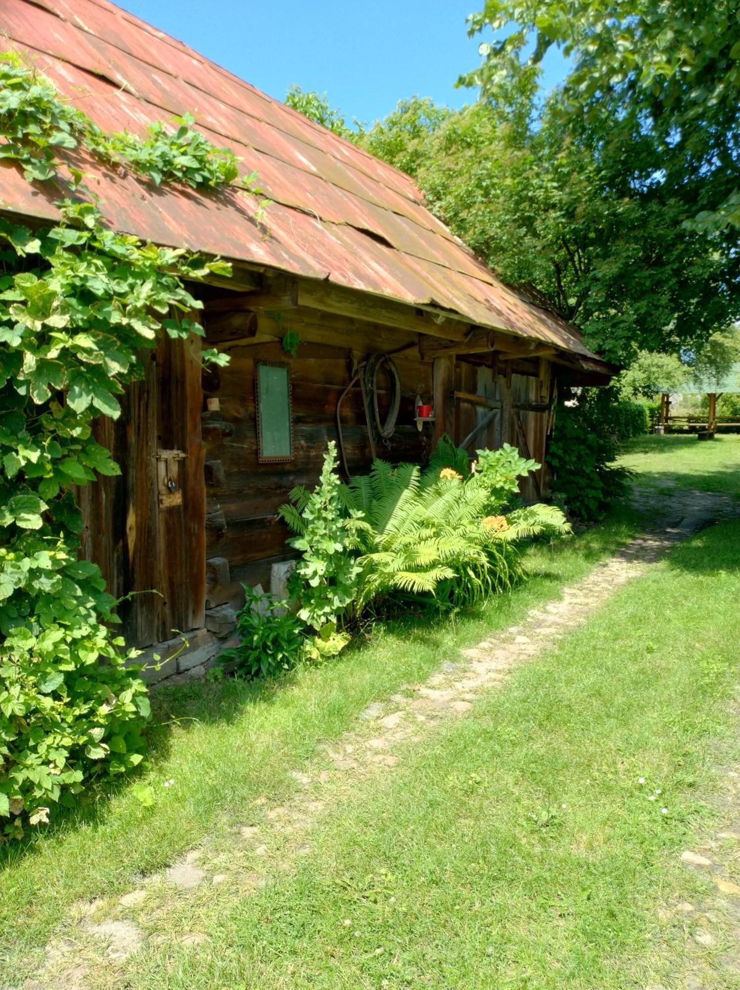 Dom Sloneczko Pokoje Do Wynajecia W Bialowiezy Беловеж Экстерьер фото